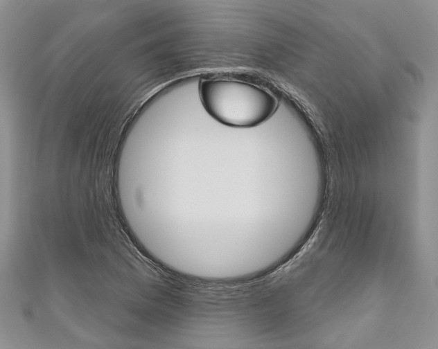 X0000111201169200907011023
