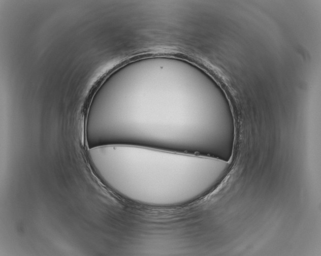 X0000111201171200907011023