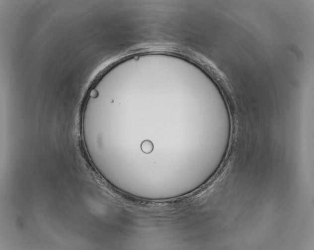 X0000111201174200907011023