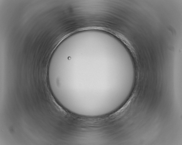 X0000111201177200907011023