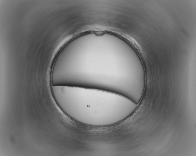 X0000111201183200907011023
