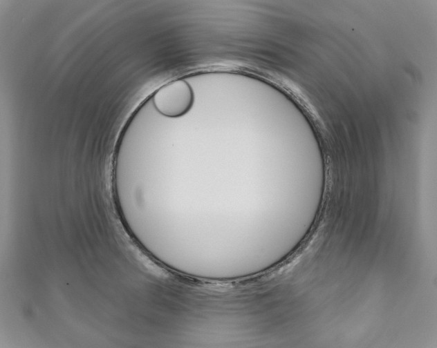X0000111201186200907011023
