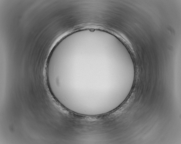 X0000111201190200907011023