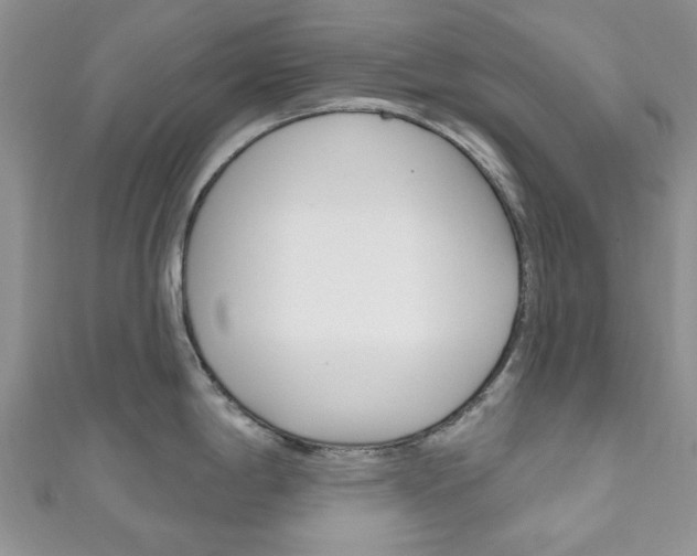 X0000111201198200907011023
