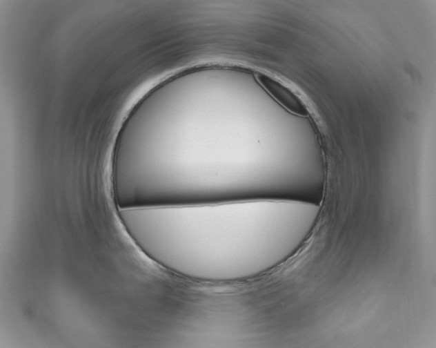 X0000111201199200907011023