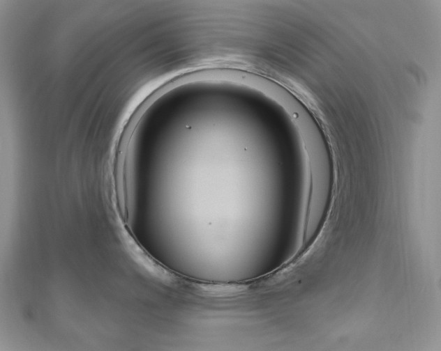 X0000111201200200907011023