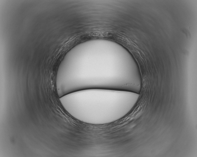 X0000111201202200907011022