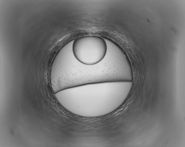 X0000111201205200907011023