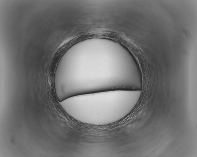 X0000111201206200907011023