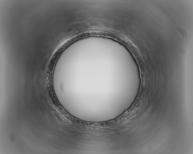 X0000111201208200907011023