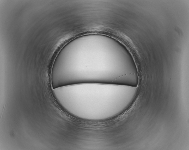 X0000111201218200907011023