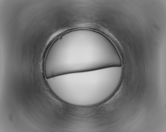 X0000111201222200907011023