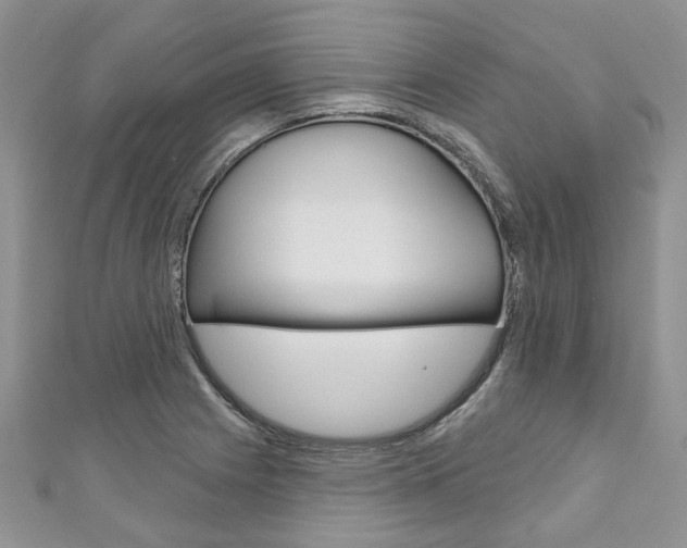 X0000111201225200907011023