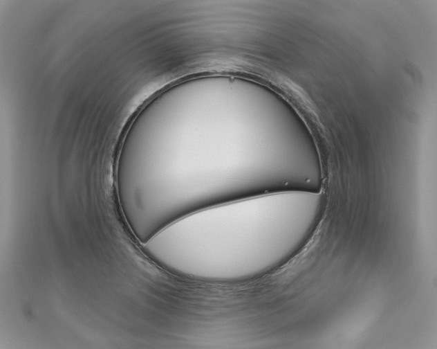 X0000111201226200907011023