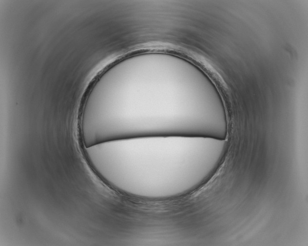 X0000111201229200907011023