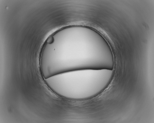 X0000111201230200907011023