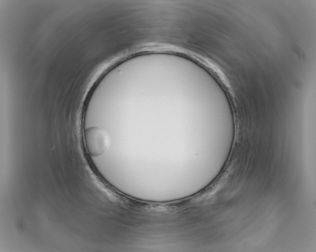 X0000111201231200907011023