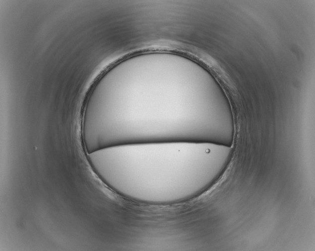 X0000111201232200907011023