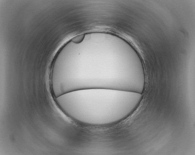 X0000111201235200907011023