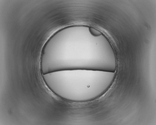 X0000111201236200907011023