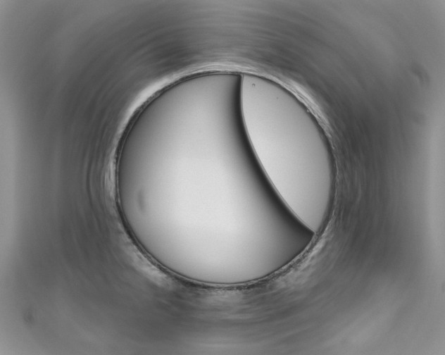 X0000111201238200907011023