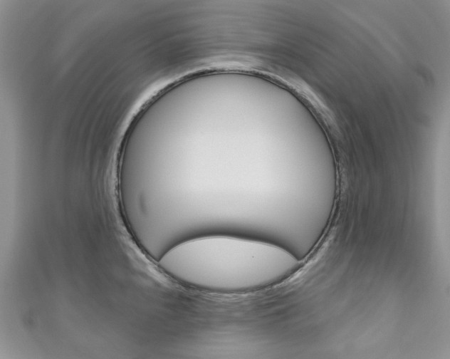 X0000111201240200907011023