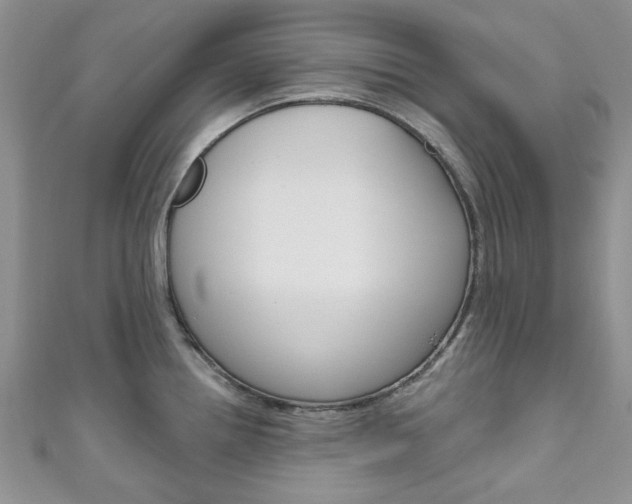 X0000111201242200907011023