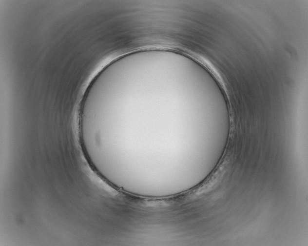 X0000111201243200907011023