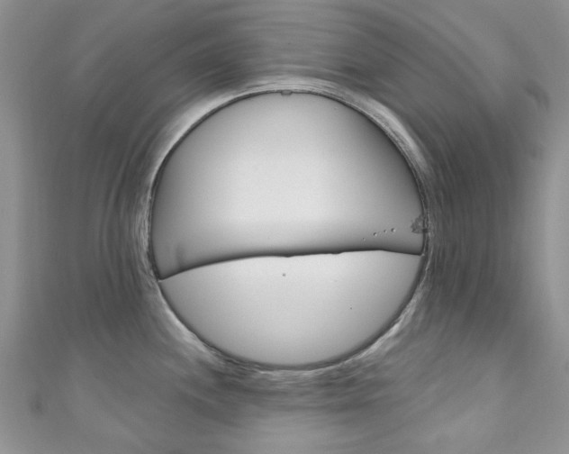 X0000111201244200907011023