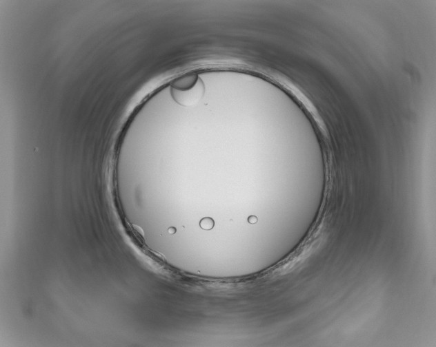 X0000111201245200907011023