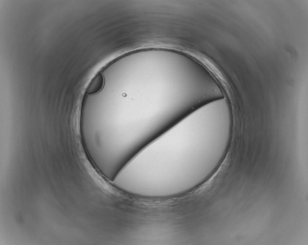 X0000111201246200907011023