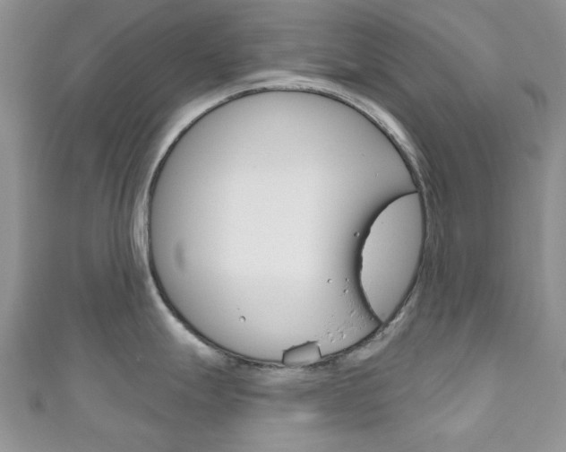 X0000111201247200907011023