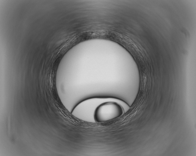 X0000111201250200907011022