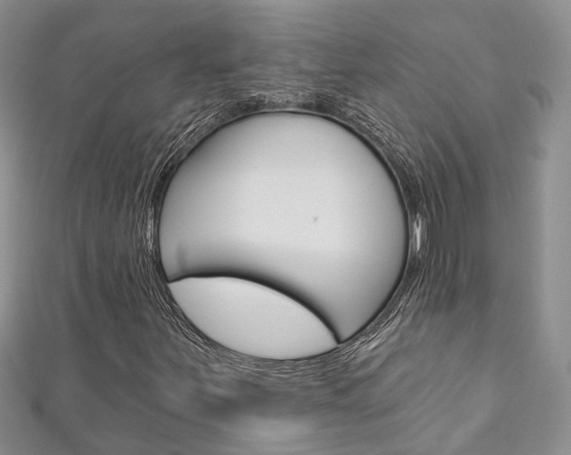 X0000111201251200907011022