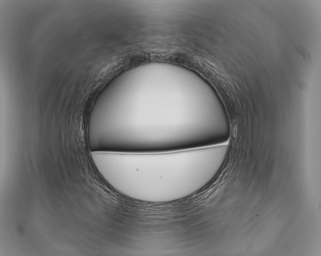 X0000111201252200907011022