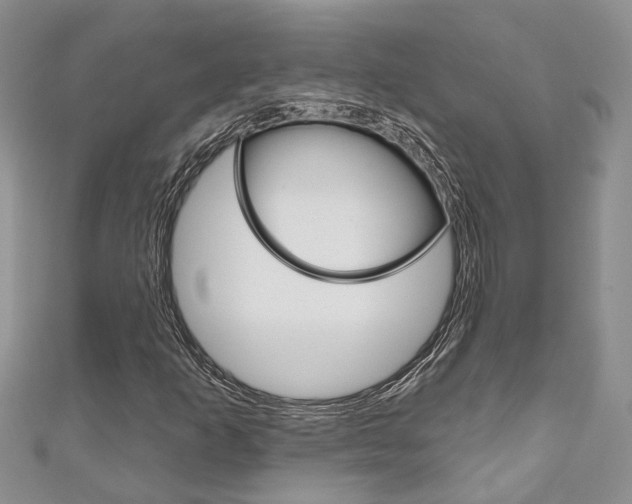 X0000111201253200907011022