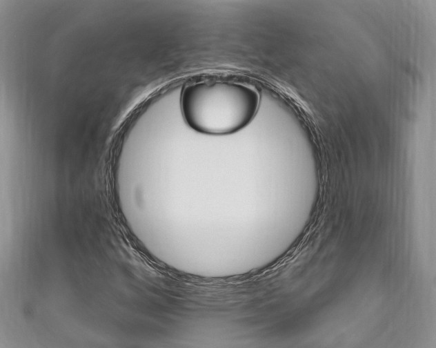 X0000111201256200907011022
