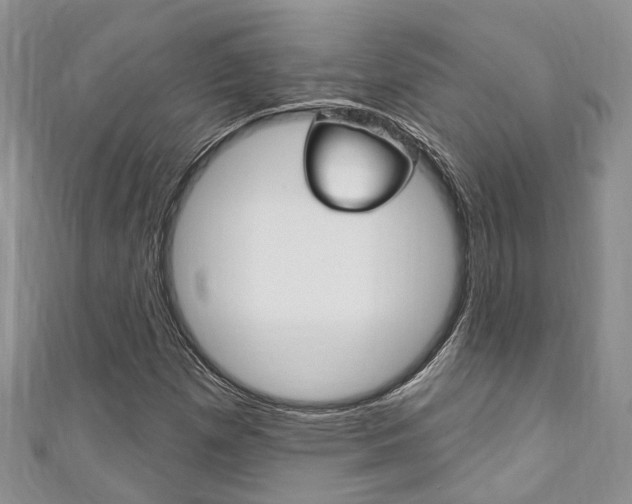 X0000111201257200907011022