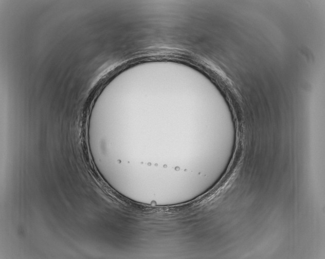 X0000111201259200907011022