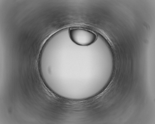 X0000111201260200907011022