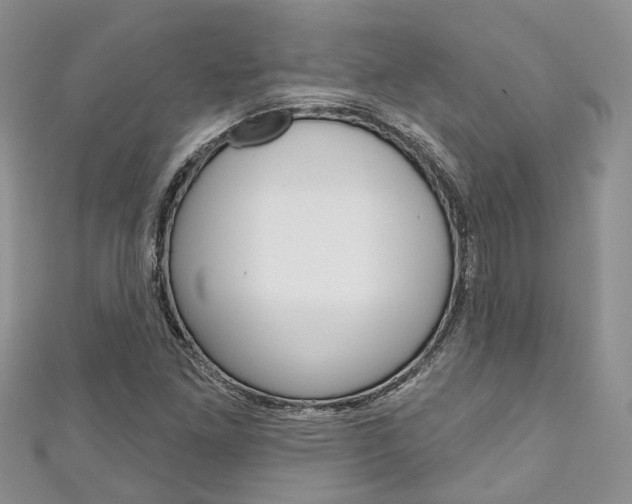 X0000111201261200907011022