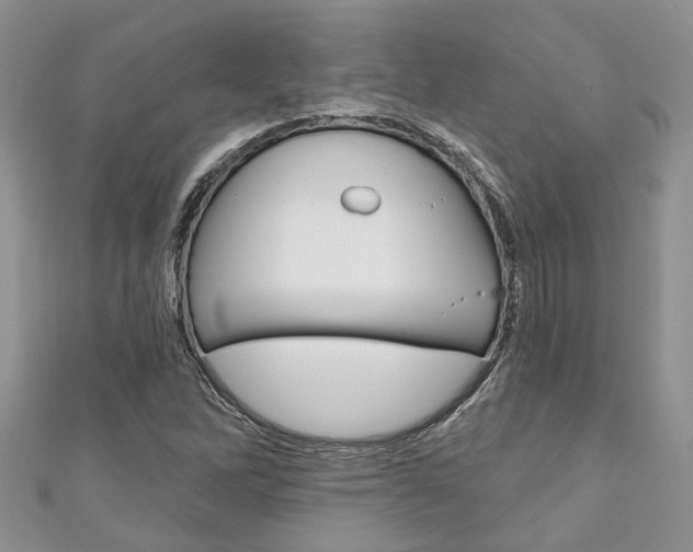 X0000111201262200907011022