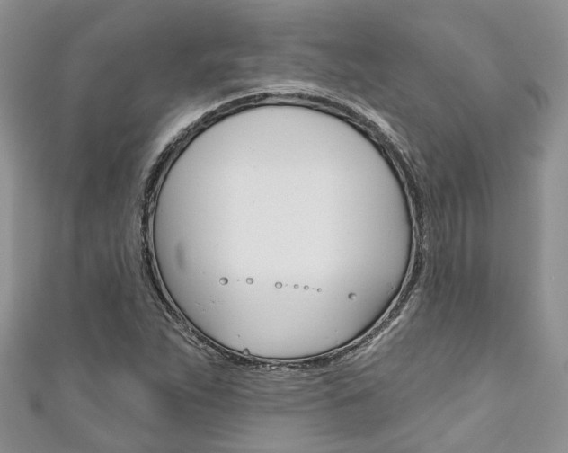 X0000111201263200907011022
