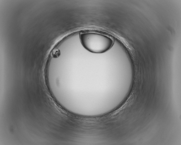 X0000111201264200907011022