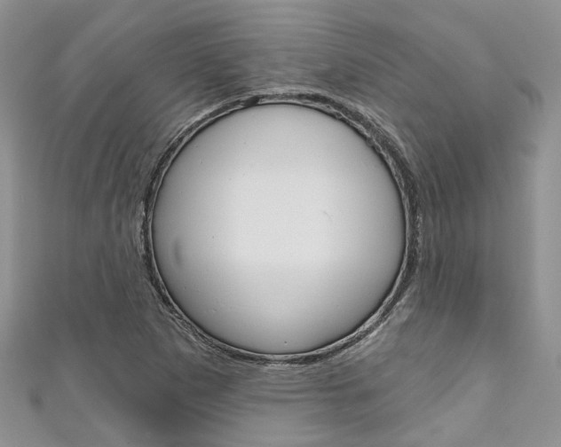 X0000111201265200907011022