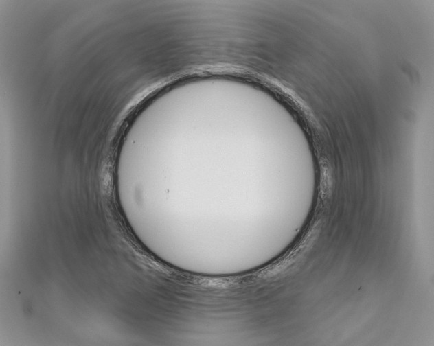 X0000111201266200907011022