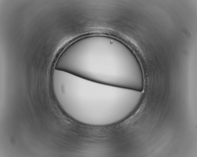 X0000111201267200907011022