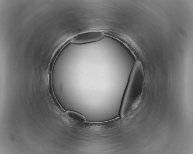 X0000111201268200907011022