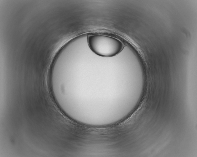 X0000111201269200907011022