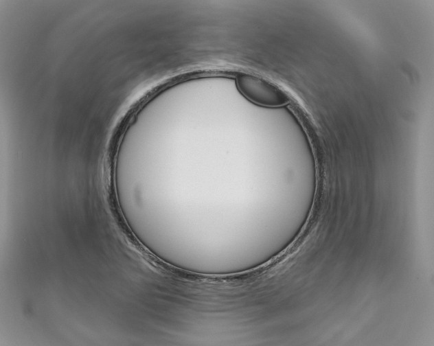 X0000111201270200907011022